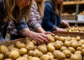 From Baker Valley to Bag: Oregon Farmer Launches Elkhorn Ridge Potato Chips, a Local Brand from Field to Fryer