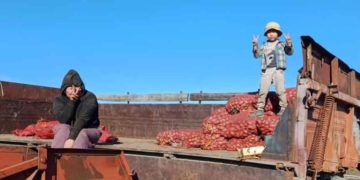 Yakutia Farmer Denied Potato Storage Subsidy Receives Private Support as Local Officials Defend Budget Decisions