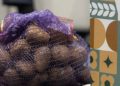Chelyabinsk Region Offers Higher Subsidies for Farmers Using Russian Potato Seeds