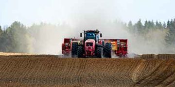 Mogilev Region Exceeds Potato Planting Targets by Nearly 10 Percent