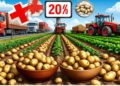 Russia Cuts Potato Imports by 20% Since Start of 2026, Ministry Reports