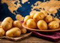 From 0.31to0.31to3.49 per kg: Global Potato Prices Reveal Stark Contrast Between Cheapest and Most Expensive Nations