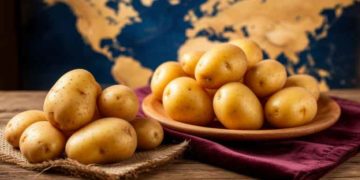 From 0.31to0.31to3.49 per kg: Global Potato Prices Reveal Stark Contrast Between Cheapest and Most Expensive Nations