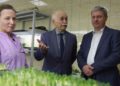 From Lab to Field: Arkhangelsk Enterprise Establishes Full-Cycle Seed Potato Production