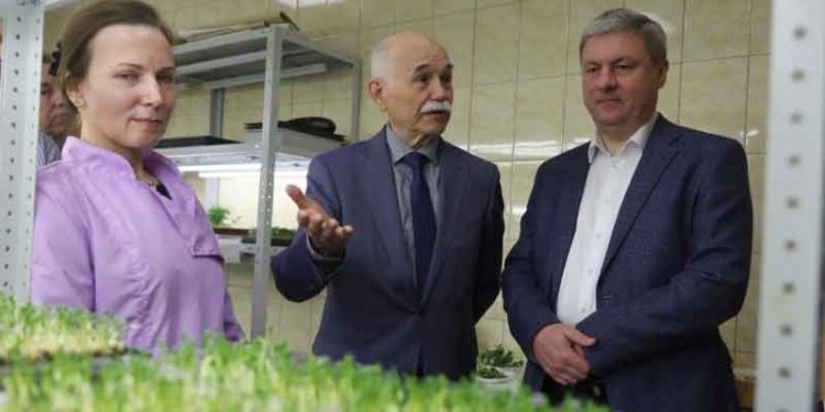 From Lab to Field: Arkhangelsk Enterprise Establishes Full-Cycle Seed Potato Production