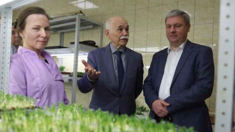 From Lab to Field: Arkhangelsk Enterprise Establishes Full-Cycle Seed Potato Production