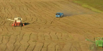 Mongolia Plants 44,600 Hectares of Grains, Potatoes, and Vegetables in Spring Campaign