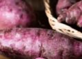 Belarus Promotes Colored Potatoes as a Natural Superfood