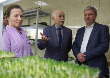 Seed Potato and Microgreen Production Thrives in Arkhangelsk as a Model of Import Substitution