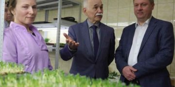 Seed Potato and Microgreen Production Thrives in Arkhangelsk as a Model of Import Substitution