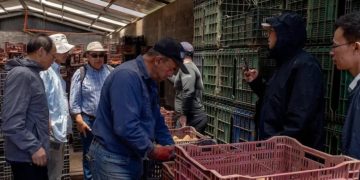 Costa Rica: Agreement with Chinese Universities to Advance Applied Research and Knowledge Transfer in Potato Farming