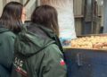 The "Clean Tuber" Strategy: How Chile Sets the Standards for Certified Seed Potato Exports