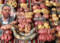 Peru: Potato Festival to Gather Producers from All Eight Provinces of the Arequipa Region