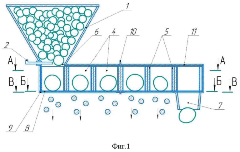 Kazan University Patents Innovative Planter That Sorts Potato Tubers and Prevents Mechanical Damage 3 Kazan University Patents Innovative Planter That Sorts Potato Tubers and Prevents Mechanical Damage