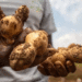 Wild Genes to the Rescue: How Ancient Andean Potatoes Are Saving East African Farmers from Late Blight