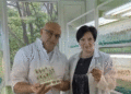 Novgorod Farmers Grow Elite Potatoes from Test-Tube Plants — Virus-Free and Bacteria-Free