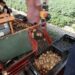 Dutch Farmer Harvests First Early Potatoes of the Season for Alvantho Auction