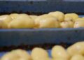 French Sustainability Rules Risk Pushing Belgian Potato and Vegetable Processors Out of the Market