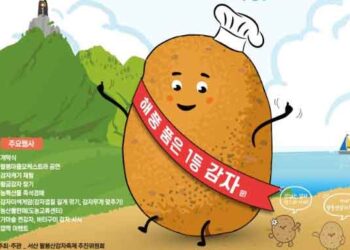 Palbongsan Potato Festival in Seosan – A Must-Visit Summer Rural Experience in Chungnam