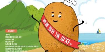 Palbongsan Potato Festival in Seosan – A Must-Visit Summer Rural Experience in Chungnam