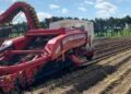 Britain’s Early Potato Season: Tradition, Terroir, and 24-Hour Freshness Across Three Coasts