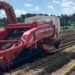 Britain’s Early Potato Season: Tradition, Terroir, and 24-Hour Freshness Across Three Coasts