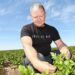 From Storage to Smart Fields: How Queen Anne Potatoes Thrive in Sol-Iletsk Despite Weather Challenges
