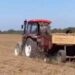 Potato Planting Plan Exceeded by 100.2% in Jewish Autonomous Region as Rains Halt Other Crops