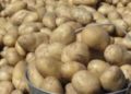 From Andean Root to Chinese Staple: The Remarkable Journey of the Potato