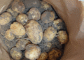 First New Harvest Potatoes Appear in Astrakhan Stores at 65–70 Rubles per Kilo