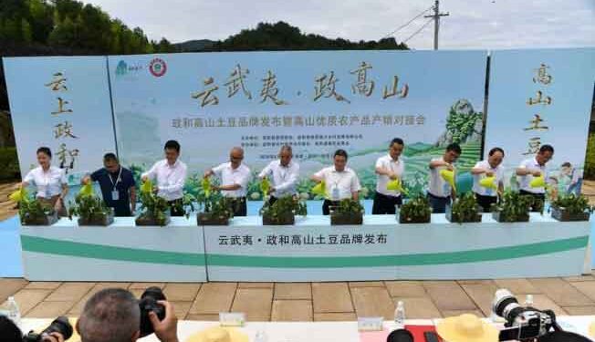 Henan’s Contract Potato Harvest Booms – Specialty Farming Paves the Way for Rural Prosperity