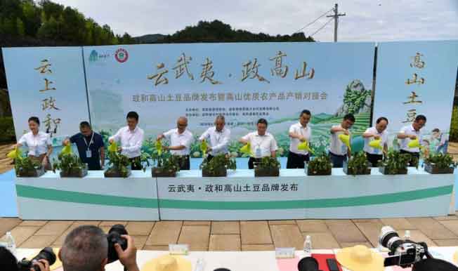 Henan’s Contract Potato Harvest Booms – Specialty Farming Paves the Way for Rural Prosperity