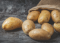 Record Import Substitution: Sakhalin Farmers Reach 93% Domestic Seed Potato Use in 2026