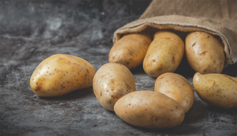 Record Import Substitution: Sakhalin Farmers Reach 93% Domestic Seed Potato Use in 2026