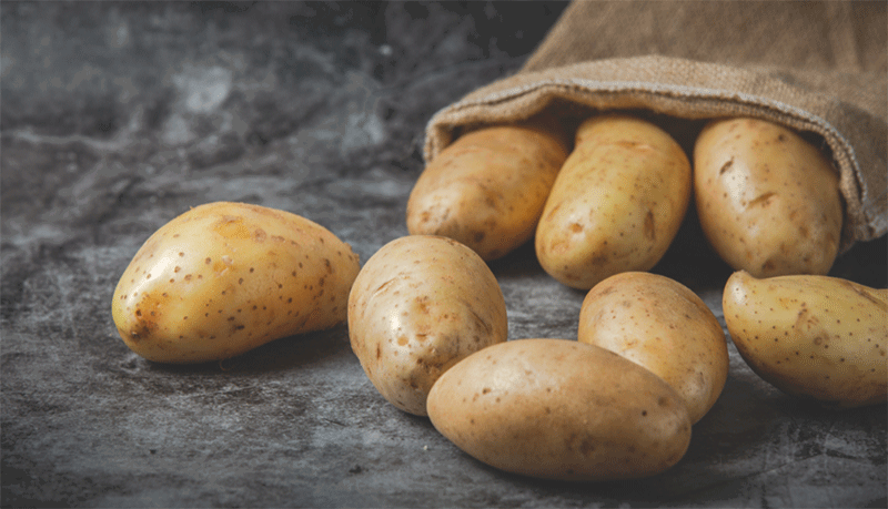 Record Import Substitution: Sakhalin Farmers Reach 93% Domestic Seed Potato Use in 2026