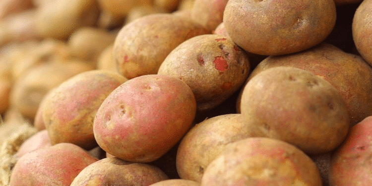 Potato Prices Drop Over 60% as Carrots Become the Only Winner in Russia’s “Borscht Set” Vegetable Market