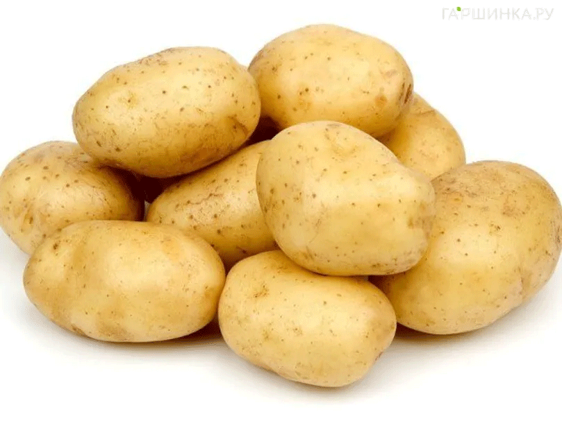 Jenseits von Idaho: Warum Lay's seine Kartoffeln aus Wisconsin bezieht und sich dem nachhaltigen Anbau verpflichtet