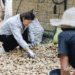From Rainy Struggles to a Prosperous Harvest: How Potatoes Transformed a Mountain Village in Chun’an