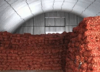 Retailers Request Additional Potato Volumes, but Last Season’s Stocks Are Nearly Exhausted