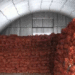 Retailers Request Additional Potato Volumes, but Last Season’s Stocks Are Nearly Exhausted