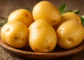 Over 11,000 Tons of Potatoes Successfully Tested in Volgograd Region