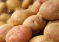 Potato Producer Prices Drop Over 60% in a Year as Carrots Become the Only “Borscht Set” Gainer
