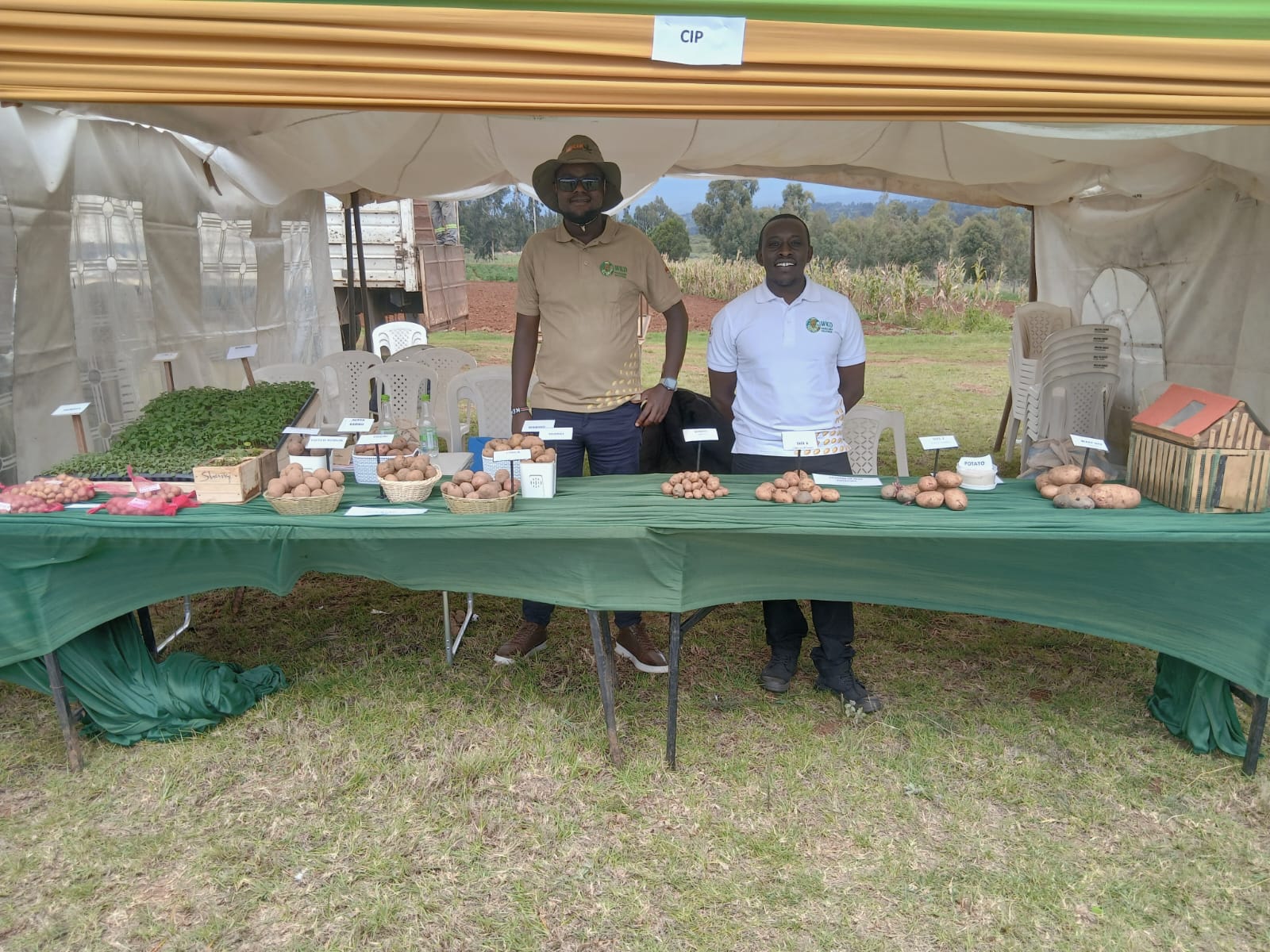 International Potato Day 2026: Meru Hosts Landmark Celebration as Youth, Innovation and Global Leaders Drive Sector Transformation 5 WhatsApp Image 2026 05 31 at 4.04.36 PM