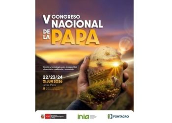 Peru: Lima to Host the V National Potato Congress to Drive Research, Security, and Export Innovation