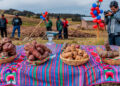 Peru (Huancavelica): Acobamba Makes Significant Progress Toward the Industrialization of Native Potatoes