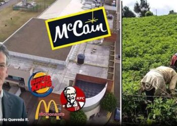 Colombia: McCain Director Admits Complex Reality of the Agribusiness Sector
