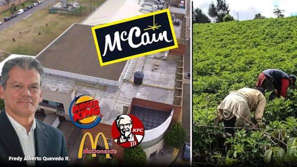 Colombia: il direttore di McCain ammette la complessa realtà del settore agroalimentare