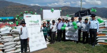 Boosting Potato Productivity: New Investment in Huancavelica, Peru