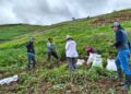 Boosting Agricultural Efficiency: Ecuador’s MAGP Launches Potato Yield Operation in Azuay