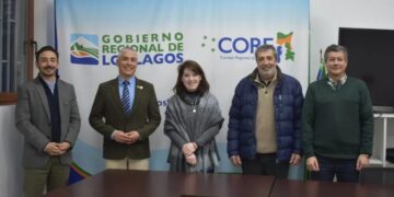 Chile Continues Joint Efforts to Establish a National Potato Day